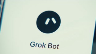 Grok Bot