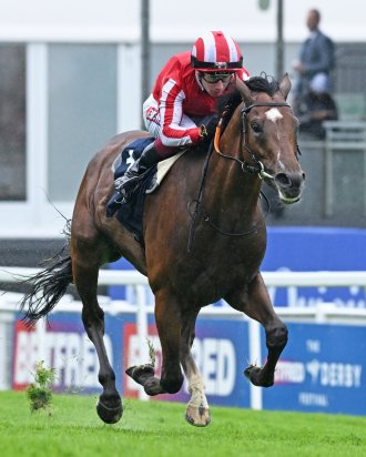 Horse Racing is the best example of commercialisation of traditional racing of animals. Photo: X