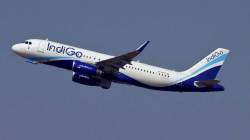 Indigo gains market share despite fall in July air traffic