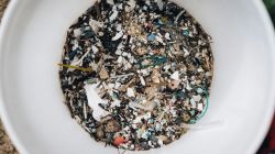 How a Gurugram student is bringing microplastic testing to households