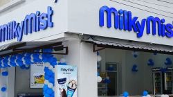 Milky Mist IPO Opens Today: Check price band, GMP of Rs 1,553 crore issue before you subscribe 