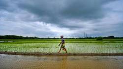 Monsoon Tracker: With deficit at 13%, India may see its weakest monsoon since 2009