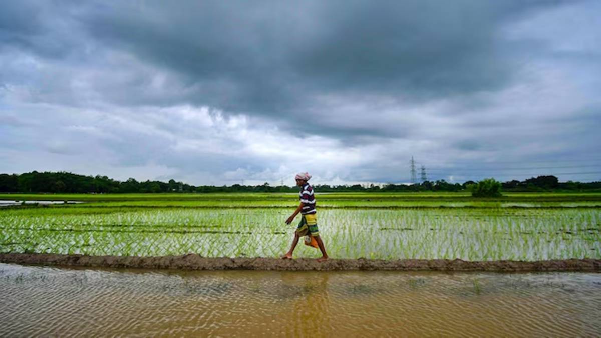 Water storage rises as monsoon rains revive
