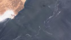 Over 2,000 sq km oil slick reaches Oman coastline: Why the environmental damage could be severe