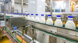 Dairy firms move up the value chain for better returns