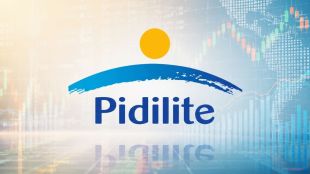 Pidilite Q1FY27: EBITDA margin expands despite input cost pressure