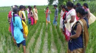 Rural-India