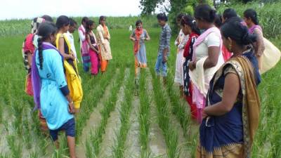 When knowledge travels: How Apurva.ai is helping grassroot ideas scale