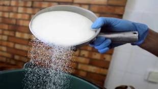 Retail Sugar Prices Expected to Ease as Ex-Mill Rates Drop 20% Ahead of Festive Season
