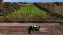 Super El Nino threatens Latin America’s food exports: How it could impact  global food supplies
