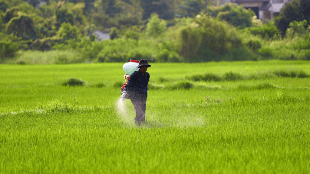 Landed Cost of Urea Drops 60% as Easing Global Supplies Cushion India's Subsidy Burden Landed Cost of Urea Drops 60% as Easing Global Supplies Cushion India's Subsidy Burden