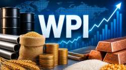 WPI inflation eases to 9.78% in July on lower fuel prices