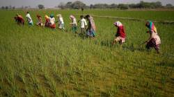 A cloud system for agriculture
