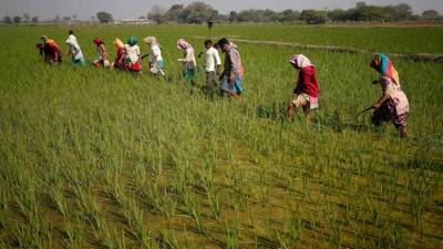 Sowing deficit narrows, but uneven rains may hit crop yield