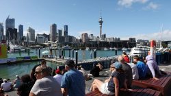 New Zealand announces launch of new visitor visa online system