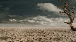 IMD forecasts below-normal monsoon in Sept; Weakest monsoon since 2009