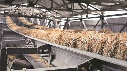 Crop residue to sunscreen: How altM is building a new materials industry