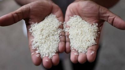 Explainer: Gene-edited rice: Heralding a second green revolution