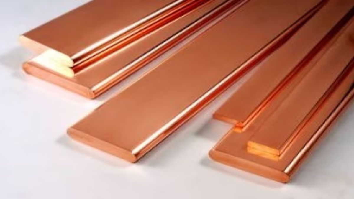 https://images.financialexpressdigital.com/2026/08/hindustan-copper-ofs-government-stake-sale-2026.jpg.jpg