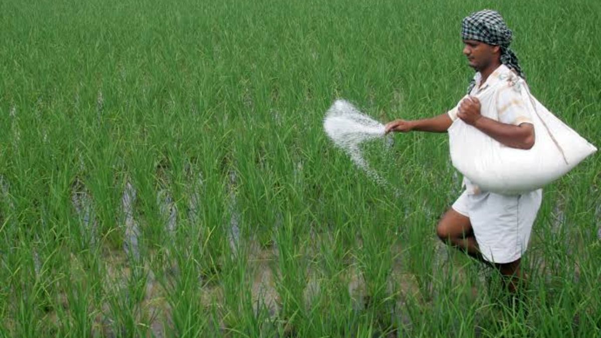Govt spends 56% of budgeted fertiliser subsidy