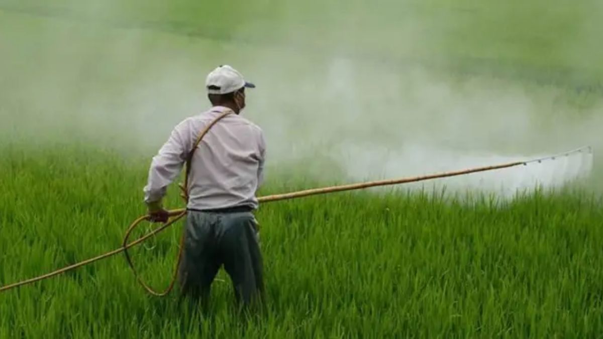 Fertiliser firms bet big on specialty nutrients