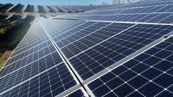 RPSG to acquire ReNew solar assets for Rs 4,859 crore