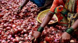 Govt may release buffer onion stocks: Khare