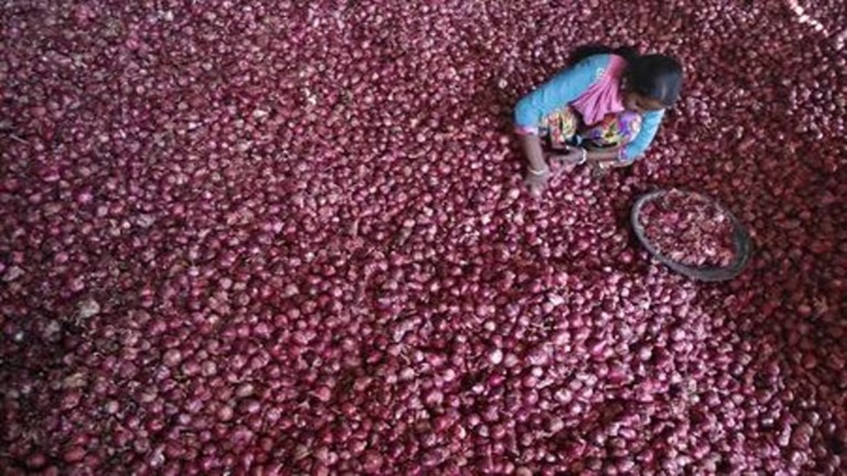 Govt rules out banning onion exports despite spike in prices
