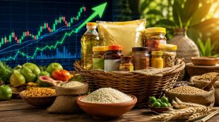 Patanjali Foods share price, Patanjali Foods stock, Patanjali Foods share price target