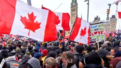 Explained: Why 1,500 Indian graduates in Canada are facing PGWP rejections and what happens next
