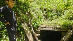 Can restoring forests save Himalayan Water?