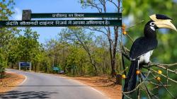 Footloose: Book a hornbill safari