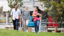Indian students heading to US plunge up to 30% amid visa, OPT uncertainty