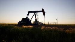 No imminent hike in auto fuel prices despite crude spike