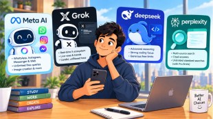 MetaAI grok deepseek perplexity