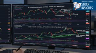 FII longs, FII long short ratio, FII positions today
