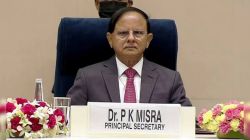 Need stronger banks, deeper capital markets to fund next growth phase: PK Mishra