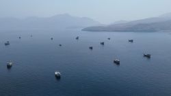 India calls Pakistani Naval conduct ‘unprofessional’ after collision at sea