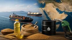Coping with food and fuel shocks