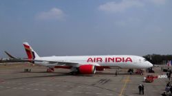 Domestic airlines cut capacity, but double down on key routes