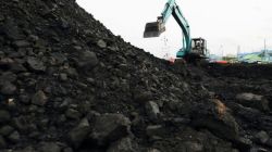 IEX moves to enter coal market, seeks licence for physical trading exchange