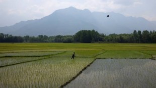 With a monsoon deficit of 12.1% against the benchmark till Monday, overall rainfall this season is likely to be “deficient” — below 90% of the benchmark-long period average.