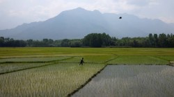 After kharif, drought risks loom over winter crops