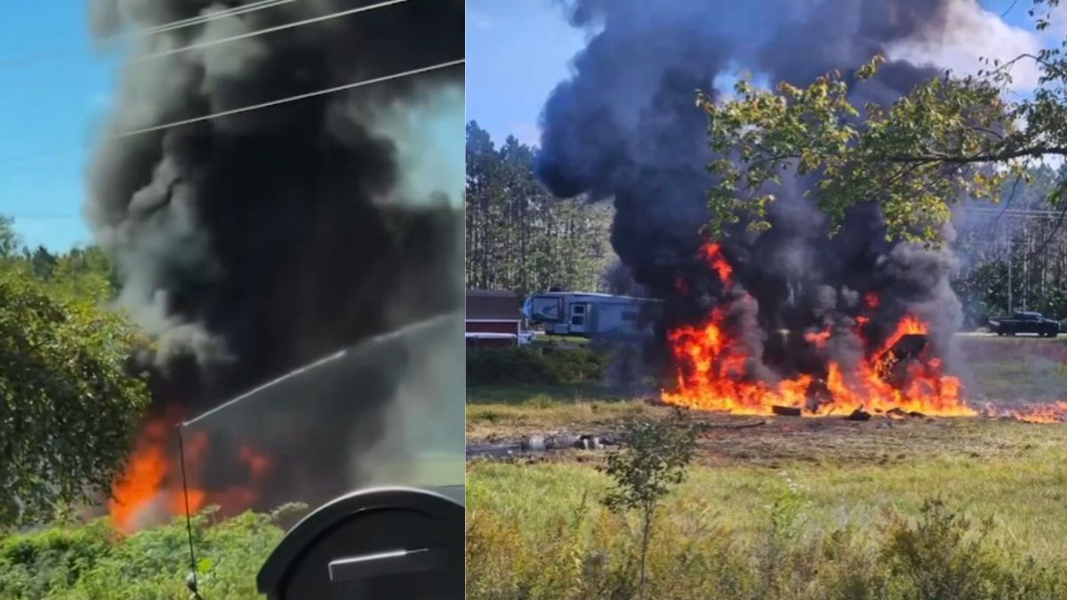 F-16 Crashes in Michigan After Possible Bird Strike