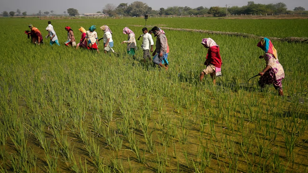 Bayer Accelerates Genome-Edited Crops for Greater Climate Resilience