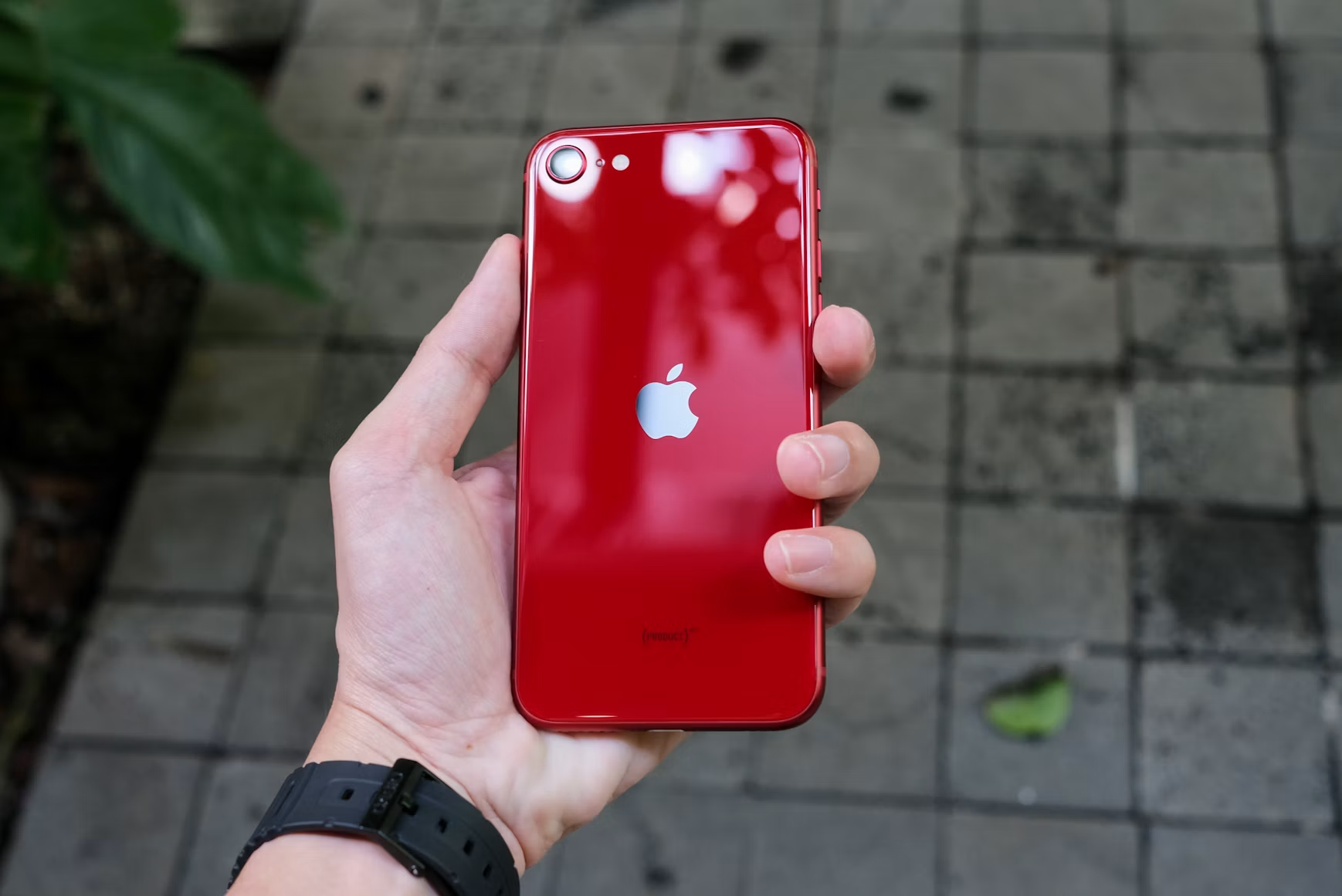 iPhone SE