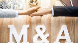 Foreign deals by Indian firms offset overall fall in M&As