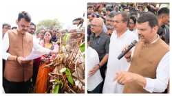 What help will drought-hit Maharashtra farmers get from government’s order?