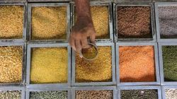 Govt announces rabi MSPs, steeper hikes for edible oils