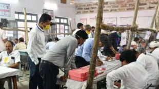 Rajasthan Municipal Election Result 2026: